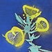 Kazuho Ueda Gallery